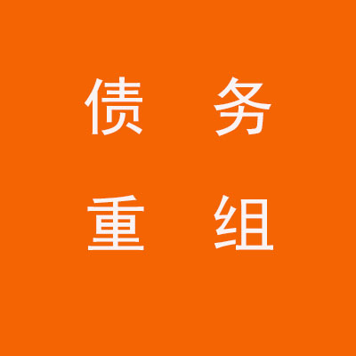 柳北个人债务重组优化